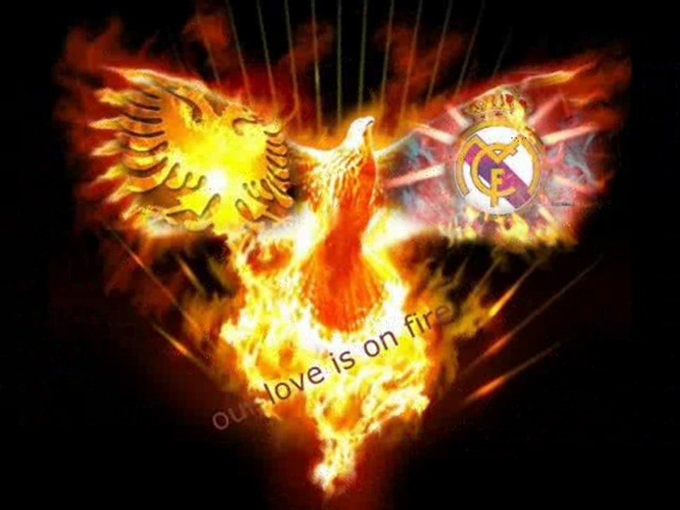 Dj Ardy Ft Fatmir Daja-Zjarr Krejt