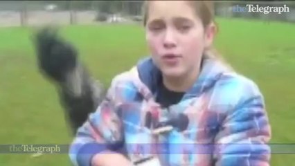 Australian native animals attack