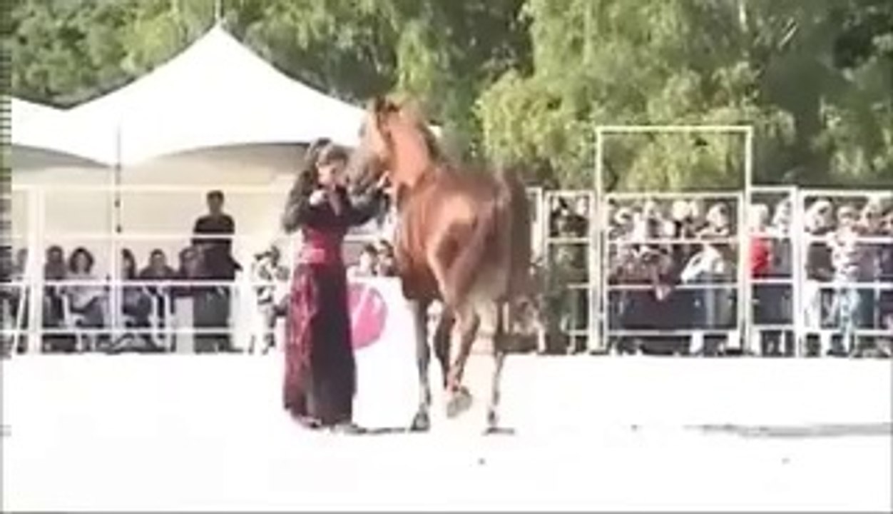 Âsil at gösterisini sunuyor,,,