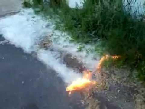 Polenlerden kurtulmanın en kolay ve pratik yolu