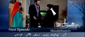 Bhool Episode (  20 ) promo 29 May 2014
