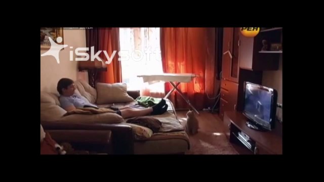 Телевизор и компьютер - вред или польза