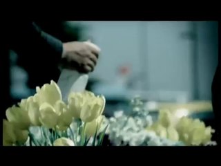 M.F.Ö - Sarı Laleler