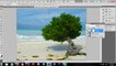 Adobe Photoshop CS5 Tutorial Improving photos through adjustment layers