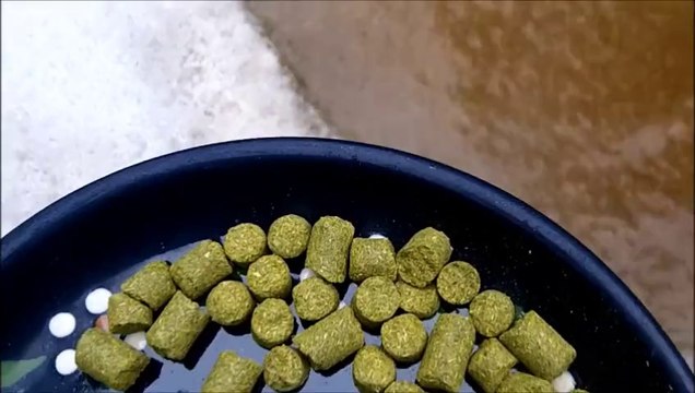 La bière artisanale de la Brasserie de Montreuil sur Ille