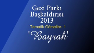 Gezi Parkı 2013  Tematik Görseller 1 Bayrak