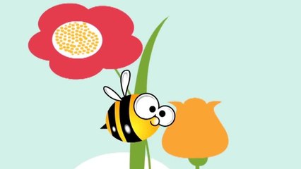 Arı Vız Vız Vız Şarkısını Öğreniyoruz