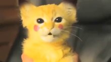 I_20have_20a_20Pikachu_20kitty_