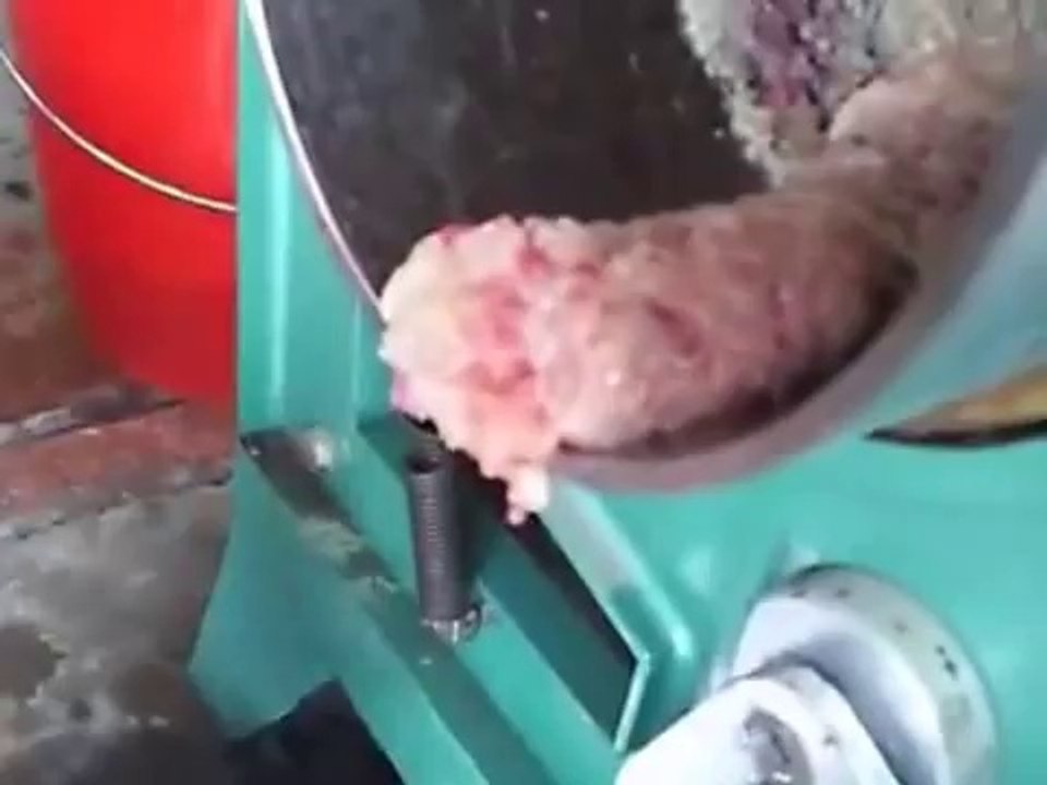 Máy tách xương cá CR200, máy tách da cá, máy tách thịt từ con cá