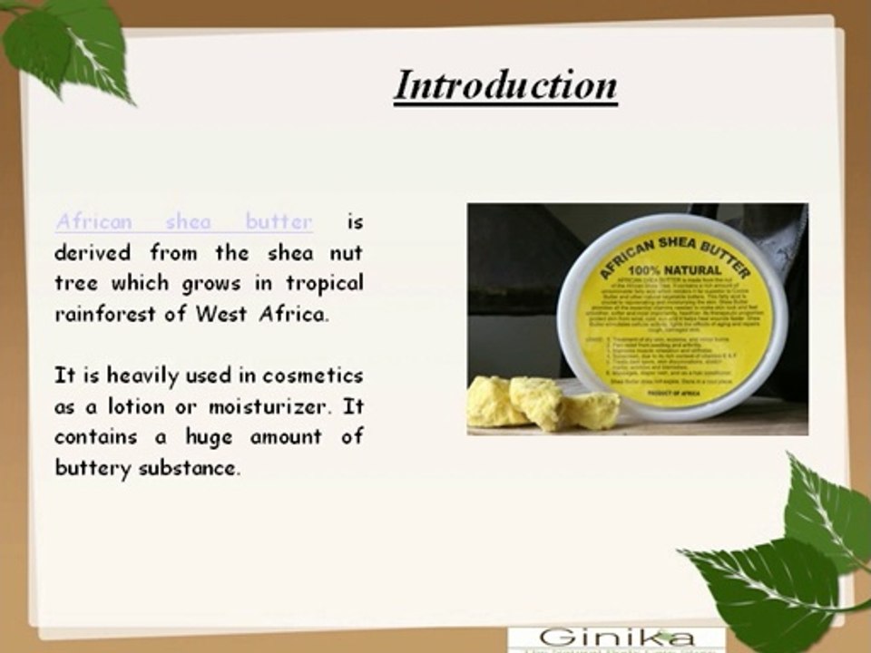 Importance of African Shea Butter