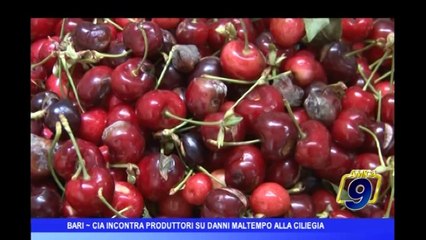 Bari | CIA incontra produttori su danni maltempo alla ciliegia