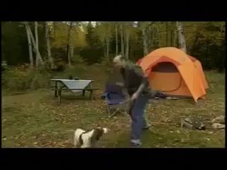 This Guy is too much