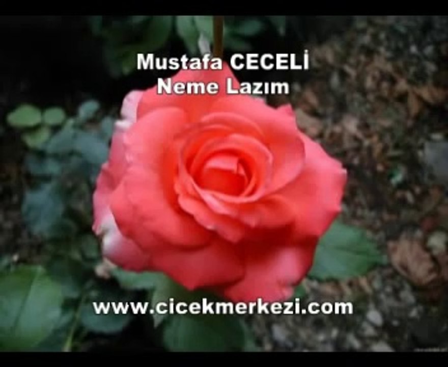 Mustafa CECELİ - Neme lazım