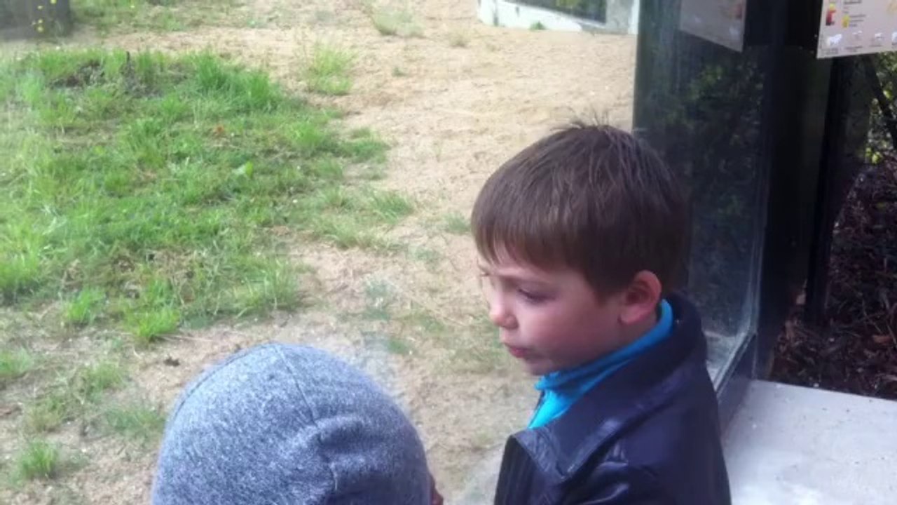 Pour la plus jolie maman
