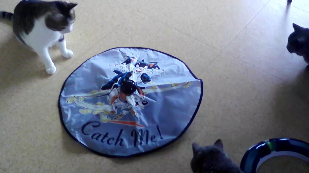 Le cadeau