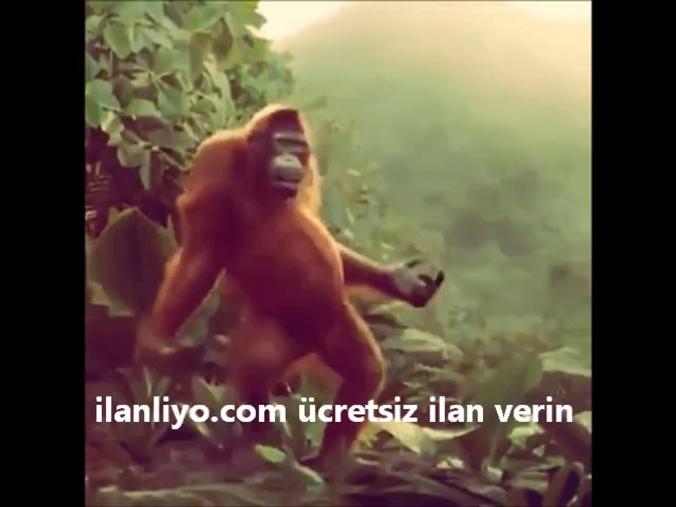 Tatikdeyken ben