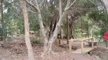 One year in 9 minutes