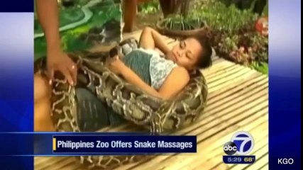Weird News - Philippines zoo offers snake massage