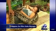 Weird News - Philippines zoo offers snake massage
