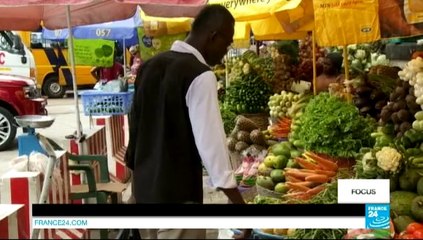 FOCUS - The huge cost to Africa in money transfer fees