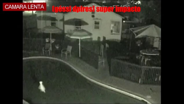 extranhos fantasmas ou seres capiturados por camera de segurança