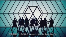 [MV] EXO-M 늑대와 미녀 (Wolf)