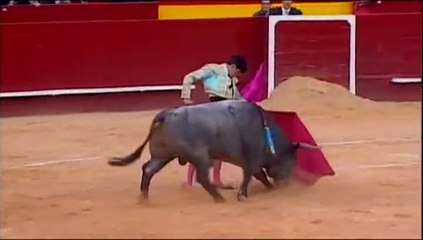 Javier Castaño en Valencia 12