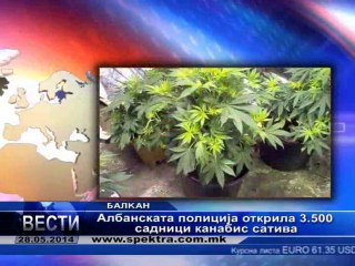 TV SPEKTRA VESTI 29.05