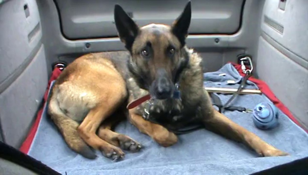 Hum !!! Il était bon celui là aussi !!!