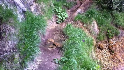 la cascade de St Marie d'Alloix