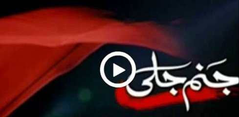 Janam Jali Episode 6 Promo 29 May 2014