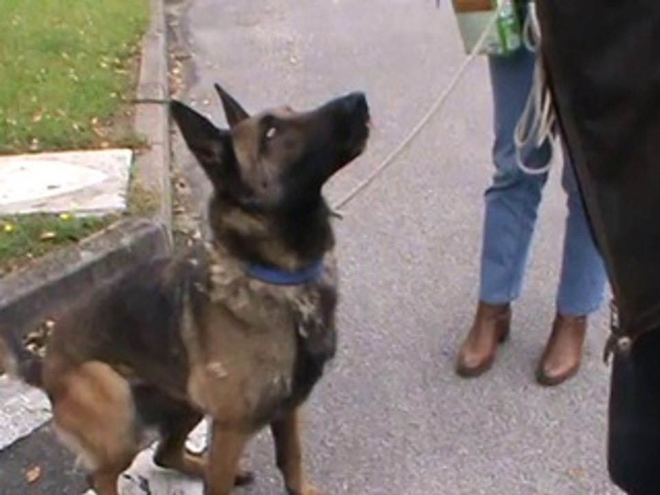 Et une petite dernière avant de reprendre la route !!!