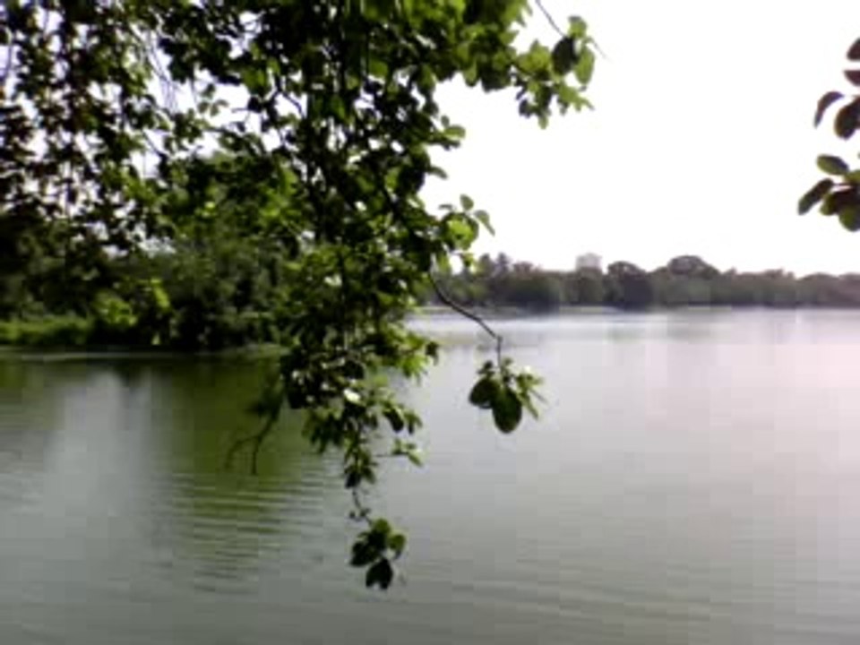 A place for Relaxation and Meditation - Rabindra Sarobar Lake