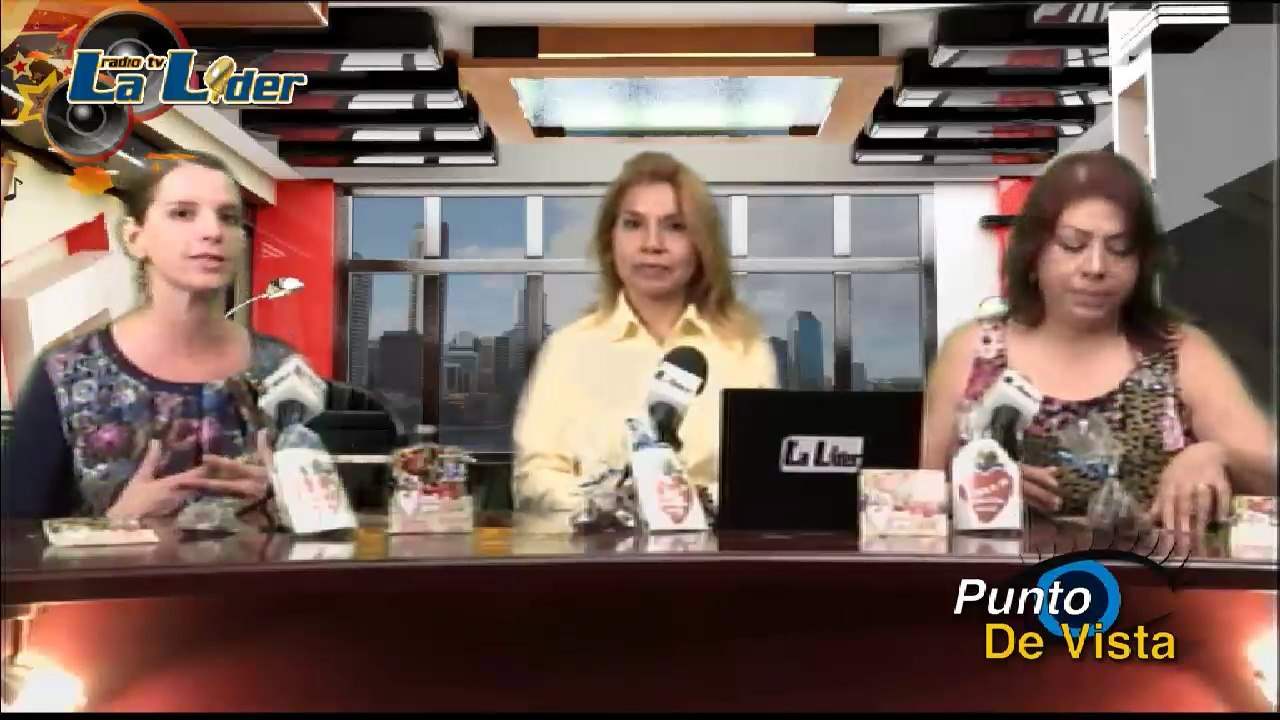 PUNTODEVISTA 280514