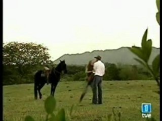 LaTormenta-Para q me quieras como quiero