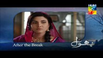 Bhool Episode 20 (29 May 2014) Full Episode On HUM TV Drama