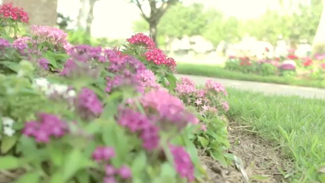 Bilal Khan - Bachana (Fayez Yamin Cover)