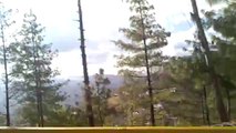 murree beautyfull pakistan greenery.