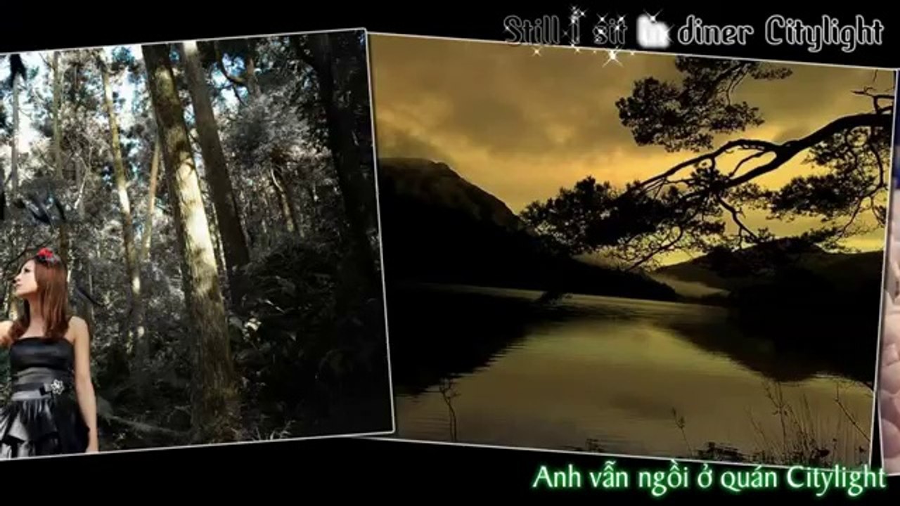 Sonata Arctica - Shy  [Vietsub + Kara]