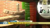 TV3 - Els Matins - Les rutes de l'oli de les Garrigues