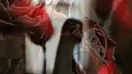 Cevdet Bağca - Yokluğun Ölüm