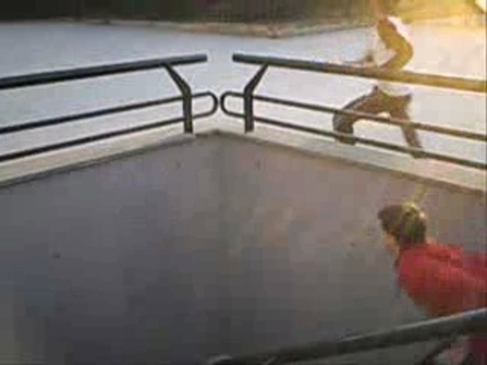 Trailer Sampler Auron
