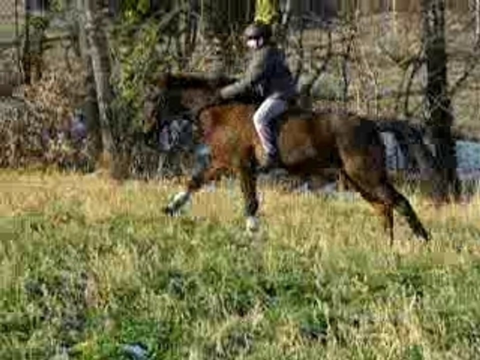 Galop !