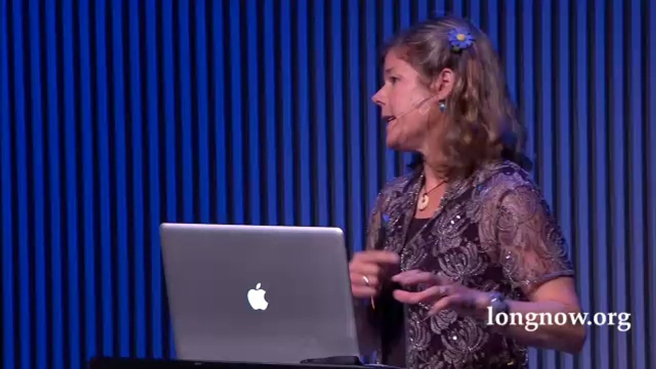 Tierney Thys Water Rise Is 'Past the Point of No Return'