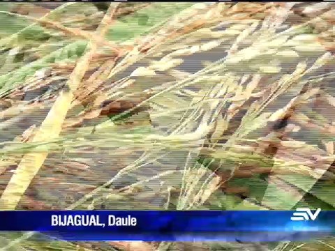 Televistazo 20h00 / 29-May-2014