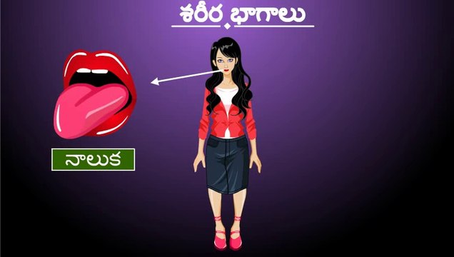 Learn Human Body with the kids in Telugu | Human Body Parts | Animated Video