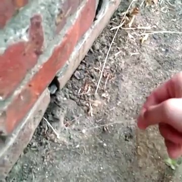 [140529] EXO 엑소 Luhan Tao Lay Instagram video updates!