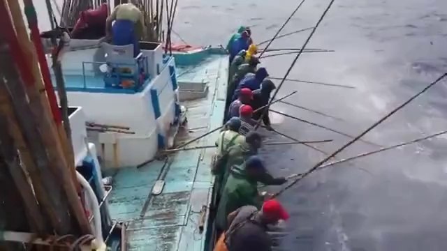 Bu nasıl balık avıdır arkadaş