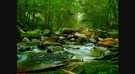 HUM GUNAH KARKE SO JATA HAI AUR PARWARBIGAR HUMARI HIFAZAT KARTE HAI BY ZULFIQAAR SAHAB