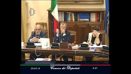 Roma - Servitù militari, audizione associazioni ambientaliste (29.05.14)